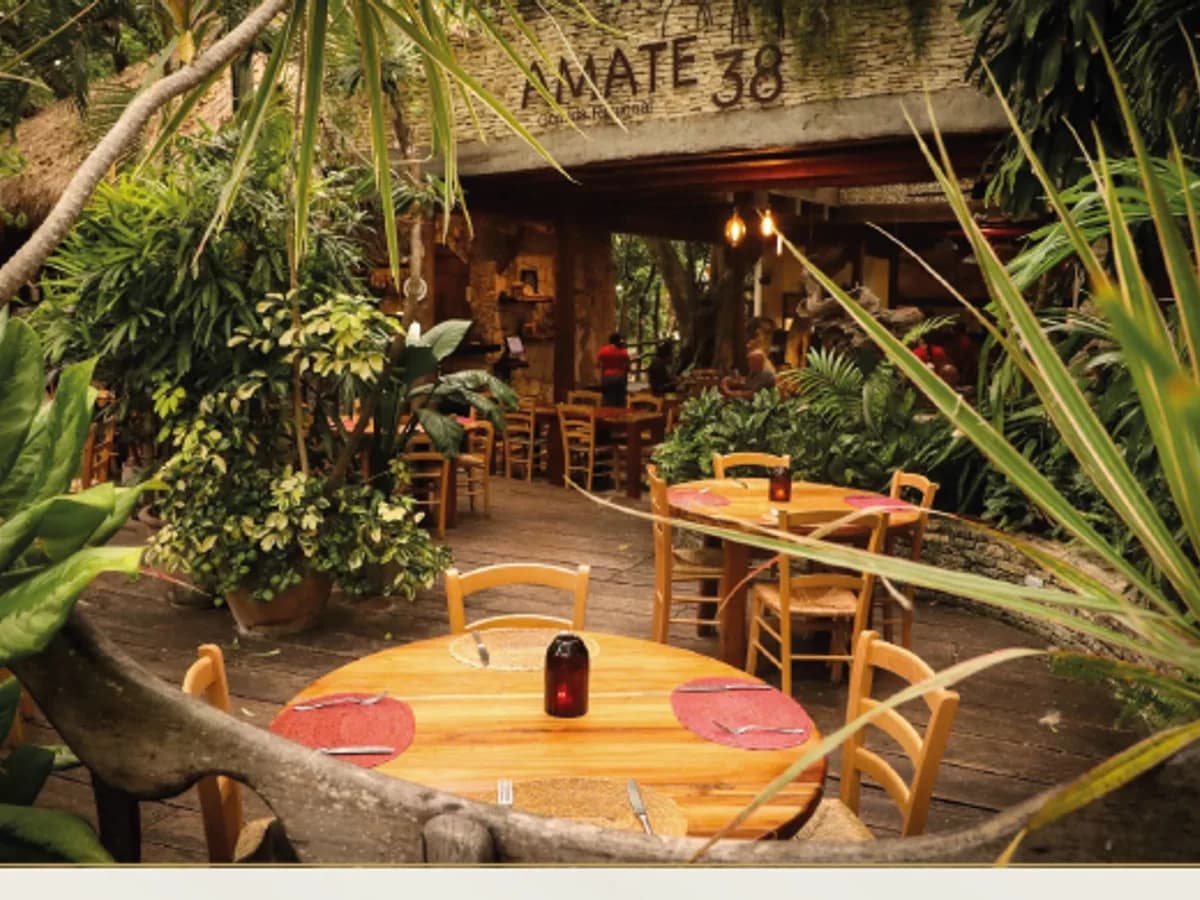 Amate 38