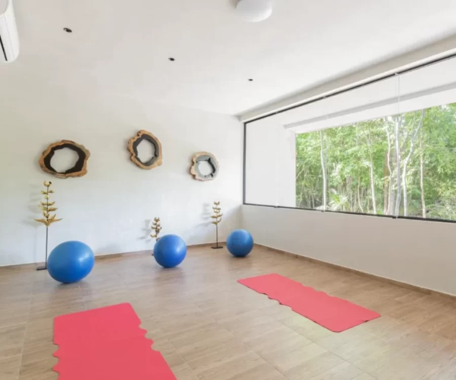 phimai_tulum_salon_yoga_departamento_raise_desarrollos_inmobiliario