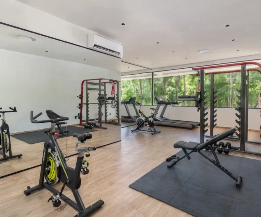 phimai_tulum_sgym_departamento_raise_desarrollos_inmobiliario