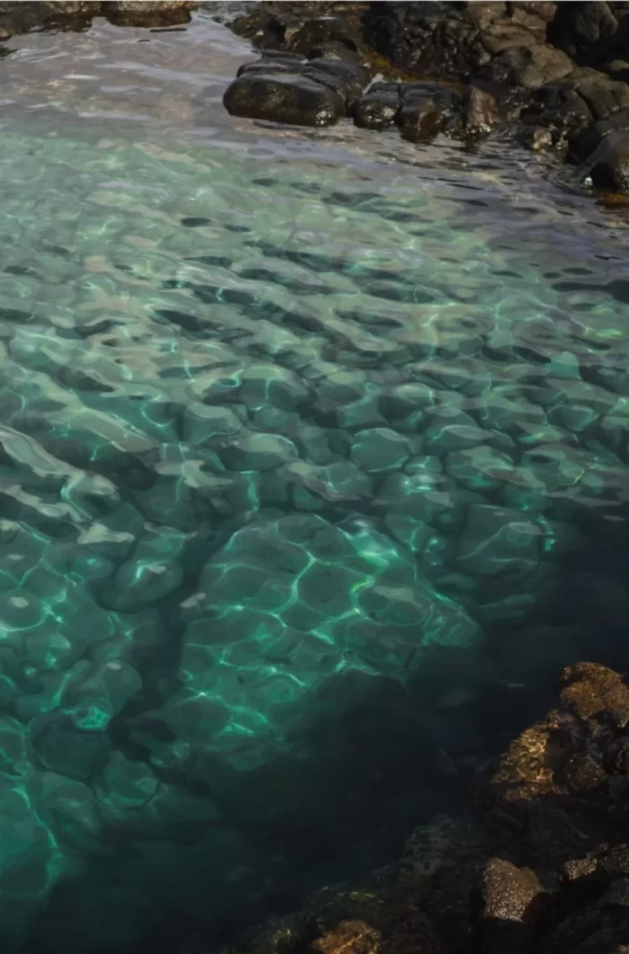 proyecto_rio_nuestros_mundos_raise_desarrollos_detalles